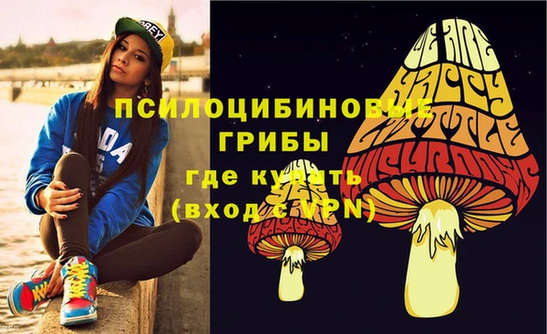 ГАЛЛЮЦИНОГЕННЫЕ ГРИБЫ Алексеевка