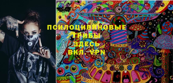 прущая мука Алзамай