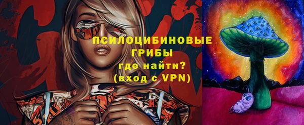 ГАЛЛЮЦИНОГЕННЫЕ ГРИБЫ Алексеевка