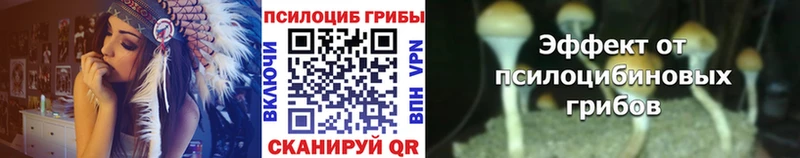 как найти закладки  Ковылкино  Псилоцибиновые грибы Cubensis 